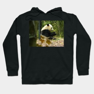 U Love Bamboo Hoodie